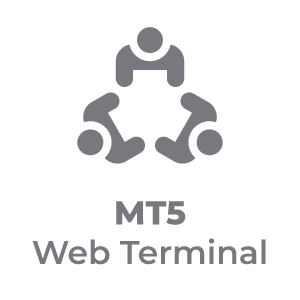Web-Terminal