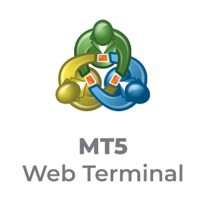 Web-Terminal
